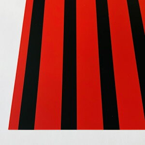 1220mm x 915mm 0.3~ Ж ԍXgCv (S-31) fBXvCV[g vX`bN ABS I V[g fBXvC ꉉo  @