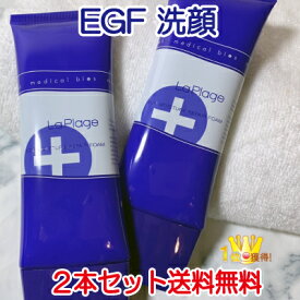 ラ プラージュ EGF モイスチャーリペアフォーム 100g 2本セット LaPlage EGF配合 洗顔フォーム コラーゲン ヒアルロン酸 敏感肌 乾燥肌 混合肌 エイジングケア 無添加 オールインワン 潤い 保湿 泡パック クレイ 洗顔クリーム 洗顔料 アミノ酸 泡立ち ニキビ シミ メンズOK