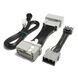 ステップワゴン【H21.10〜H23.7】用TV＆ナビキット（ホンダ純正インターナビ用）