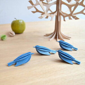 Lovi B ~jo[h(5cm ×3H)O[eBOJ[h k ̃I[ig  i` Mtg v[g NX}X