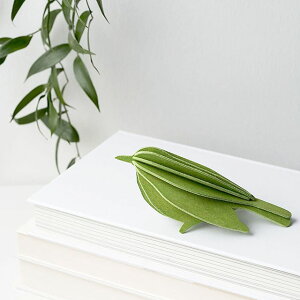 Lovi B o[h(8cm)O[eBOJ[h k ̃I[ig  i` Mtg v[g NX}X