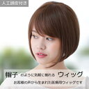 楽天市場 フルウィッグ 全頭かつら ウィッグ かつら つけ毛 バッグ 小物 ブランド雑貨 の通販