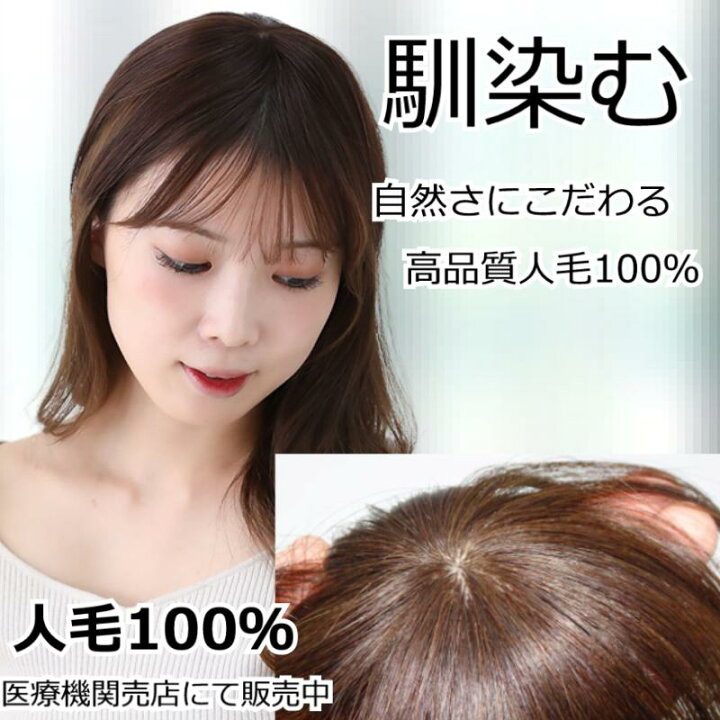 楽天市場】人毛 部分 ウィッグ 女性用 トップ かつら ヘアピース 部分 
