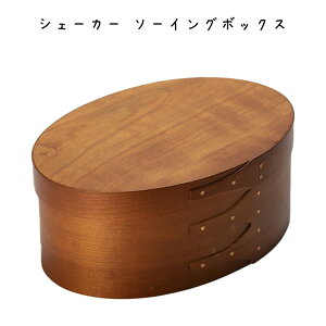 VF[J[ \[CO{bNX {bNX 227×s157×93mm `F[ {bNX Vv g IV rO Lb` CeAG fBXvCJtF Xg 
