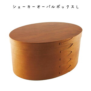 VF[J[I[o{bNXL {bNX 343×s247×159mm `F[ {bNX Vv g IV rO Lb` CeAG fBXvCJtF Xg 