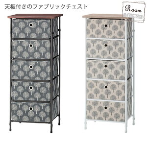 ȒPg`FXg 5D `FXg [I ߑP[X  CeA 킢 ߗގ[ X`[  5i g ^X o ؖ i` Ebh Vv _  g