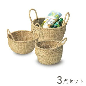   JS oXPbg X܏Y  [P[X [P[X  킢  AWA Vv i` ҂ V[OX ی^ Eh 傫 傫 [ 