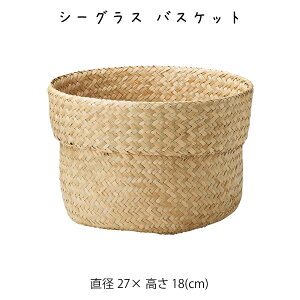 V[OX oXPbg  JS  oXPbg  [P[X [P[X [box  킢  AWA Vv i` ҂ V[OX y y N[[