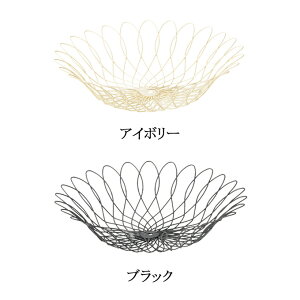   JS oXPbg X܏Y  [P[X  킢  AWA Vv i` ҂ C[ ی^ Eh y y 傫 傫  ^ _C