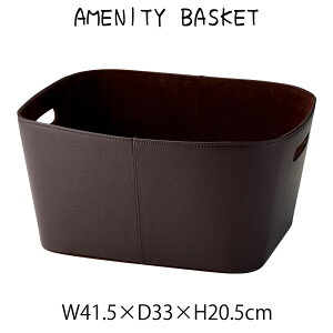 アメニティバスケット かご 脱衣かご 脱衣カゴ 収納かご ランドリーバスケット おもちゃ入れ 小物入れ 衣類収納 小物収納 ディスプレイ バスケット かご 収納かご 収納カゴ 籠 カゴ 持ち手