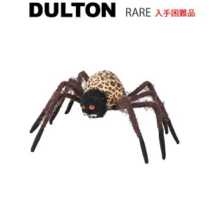 VMO&VFCLO XpC_[EBYCg ʂ w nEB p[eB[ t Cxg  x ̂ fBXvC IuWF CeA y 낢 