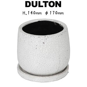 OCYh|bg Eh WHITE M _g DULTON Aؔ  A 4 zCg  eRb^  Vv i`  킢    Eh 󂯎Mt \[