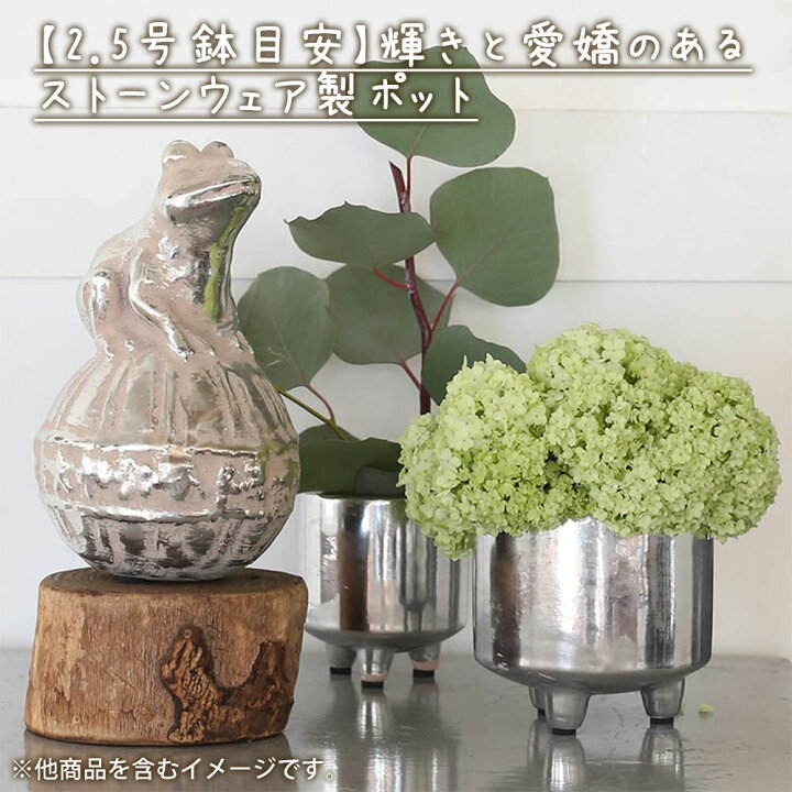 楽天市場 シルバー ポット ウィズ レッグス S 2個入り ダルトン Dulton 植木鉢 鉢 鉢植え 小物入れ 小物収納 陶器鉢 2 5号鉢 ストーンウェア おしゃれ シンプル おしゃれ シンプル ナチュラル 可愛い かわいい 小さい 小さめ 丸 ラウンド 脚付き 底穴なし イ Plank