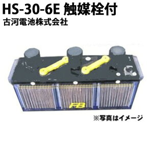 受注生産品 古河電池 古河電池 HS-30-6E 媒栓付 据置鉛蓄電池HS形 6V 30Ah おすすめ バッテリー 蓄電池 インバータ HS30-6E 据置鉛蓄電池 HS形 非常照明 操作 制御 計装用 発電機 エンジン始動用 更新