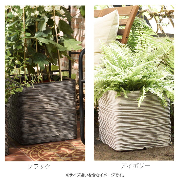 楽天市場】軽量 プランター 40cm角 正方形 スクエア型 四角 植木鉢カバー 植木鉢カバー 鉢 鉢カバー 植木鉢 おしゃれ お洒落 シンプル 高級感 大きい 屋外 野外 室内 樹脂製 プラスチック 室内用 多肉植物 観葉植物 アイボリー ブラック 黒 モノクロ : plank 楽天市場店 楽天市場】軽量 プランター 40cm角 正方形 スクエア型 四角 植木鉢カバー 植木鉢カバー 鉢 鉢カバー 植木鉢 おしゃれ お洒落 シンプル 高級感 大きい 屋外 野外 室内 樹脂製 プラスチック 室内用 多肉植物 観葉植物 アイボリー ブラック 黒 モノクロ : plank 楽天市場店