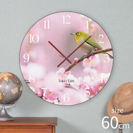 Toki×Tabi 梅の花とメジロ -pink- 60cm 大型時計 秒針あり 大きい 時計 壁掛け時計 日本製 絶景 風景 丸い 静か 愛知県 名古屋市 バードウォッチング 鳥 満開