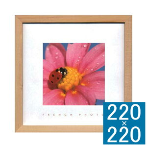 tHgA[gt[ French Photography t[ A[gt[ Ǐ z Ǌ|CeA Ǌ|A[g t[A[g fBXvCt[ CeAt[ ʐ^  