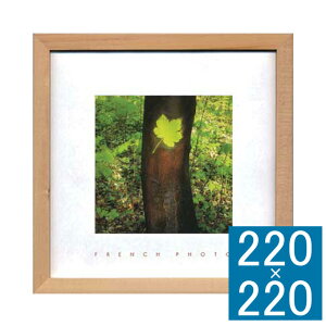 tHgA[gt[ French Photography t[ A[gt[ Ǐ z Ǌ|CeA Ǌ|A[g t[A[g fBXvCt[ CeAt[ ʐ^  