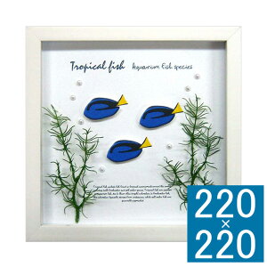 A[gt[ Aqua Frame Blue Tang t[ A[gt[ Ǐ z Ǌ|CeA Ǌ|A[g t[A[g fBXvCt[ CeAt[    