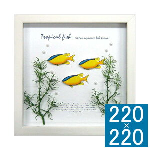 A[gt[ Aqua Frame BlueLine demoiselle t[ A[gt[ Ǐ z Ǌ|CeA Ǌ|A[g t[A[g fBXvCt[ CeAt[   