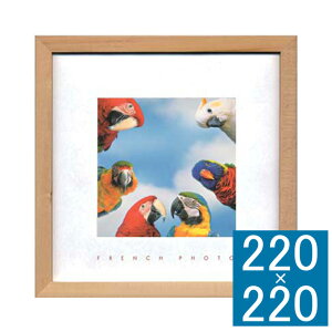 tHgA[gt[ French Photography Meeting in color t[ A[gt[ Ǐ z Ǌ|CeA Ǌ|A[g t[A[g fBXvCt[ CeAt[ ʐ^  