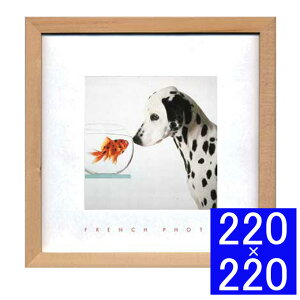 tHgA[gt[ French Photography DalmatianFish t[ A[gt[ Ǐ z Ǌ|CeA Ǌ|A[g t[A[g fBXvCt[ CeAt[ ʐ^ t