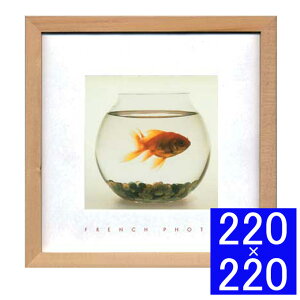 tHgA[gt[ French Photography Fish in his Bowl t[ A[gt[ Ǐ z Ǌ|CeA Ǌ|A[g t[A[g fBXvCt[ CeAt[ ʐ^ t