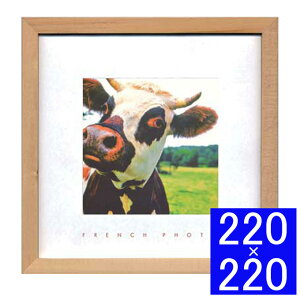 tHgA[gt[ French Photography A Cow t[ A[gt[ Ǐ z Ǌ|CeA Ǌ|A[g t[A[g fBXvCt[ CeAt[ ʐ^ t`t
