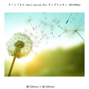 A[gpl Petit Canvas Art _fCI Ǌ| G 500mm × c400mm Ǐ z |X^[ t[ pl   LO Mtg 킢  v[g Vi ͗lւ oYj
