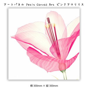 A[gpl Petit Canvas Art sNA}X LoXA[g G Ǌ| Ǐ A[g|X^[ gQ A[g  sN 300×300mm CeA  _ A[g F X^Cb