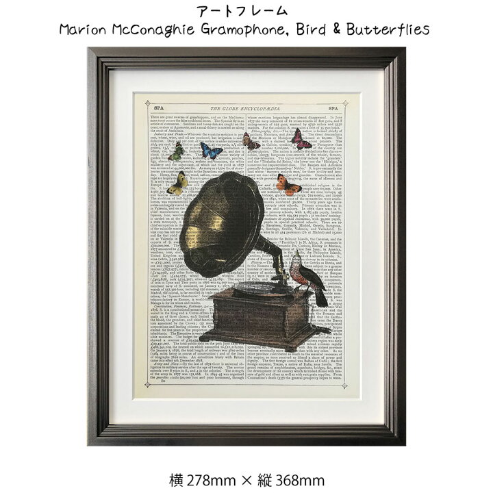 Enciclopediaの絵 経典ブランド
