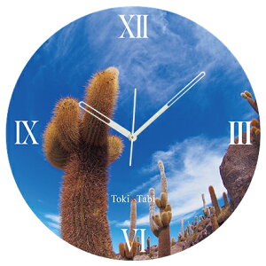 A+ (ANZgvX) Toki×Tabi Ej -T{e- 60cm ^v bj 傫 v Ǌ|v { i i ۂ Â   CJV  CO {rA R