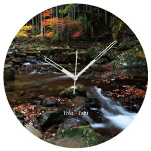 A+ (ANZgvX) Toki×Tabi Ԗڎl\ 60cm ^v bj 傫 v Ǌ|v { i i ۂ Â SI gt k H Od R  t s