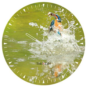 A+ (ANZgvX) Toki×Tabi Ő̕ߐH 60cm ^v bj 傫 v Ǌ|v { i i ۂ Â m mXь JZ~  r o[hEHb`O