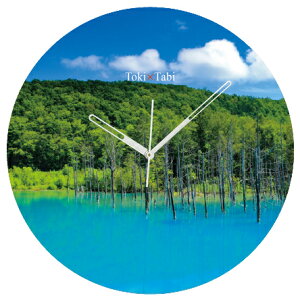 A+ (ANZgvX) Toki×Tabi l r 60cm ^v bj 傫 v Ǌ|v { i i ۂ Â kC  R lHr s