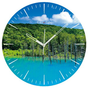 A+ (ANZgvX) Toki×Tabi l r 60cm ^v bj 傫 v Ǌ|v { i i ۂ Â kC  R lHr s