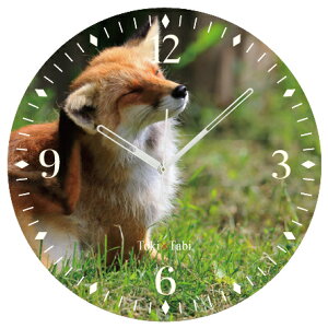 A+ (ANZgvX) Toki×Tabi ^|v 60cm k˂̒ |v  Lcl  R  ^v bj Ǌ|v  A[gpl 傫  CeA ʐ^ { 