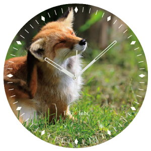 A+ (ANZgvX) Toki×Tabi ^|v 60cm k˂̒ |v  Lcl  R  ^v bj Ǌ|v  A[gpl 傫  CeA ʐ^ { 