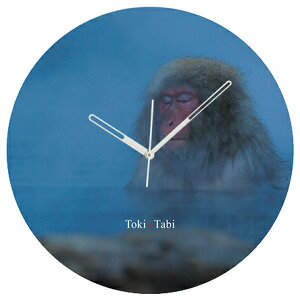 A+ (ANZgvX) Toki×Tabi ^|v 60cm Xm[L[ |v T  AT A \ ^v bj Ǌ|v  A[gpl 傫  CeA ʐ^ 