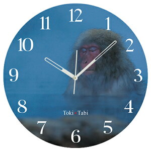 A+ (ANZgvX) Toki×Tabi ^|v 60cm Xm[L[ |v T  AT A \ ^v bj Ǌ|v  A[gpl 傫  CeA ʐ^ 