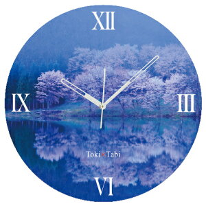 A+ (ANZgvX) Toki×Tabi j΂̍ 60cm ^v bj 傫 v Ǌ|v { i i ۂ Â 쌧 咬s  zI _I R s