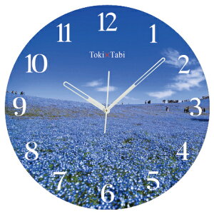 A+ (ANZgvX) Toki×Tabi ltB̋u 60cm ^v bj 傫 v Ǌ|v { i i ۂ Â 錧 cЂCl  Ԕ  s