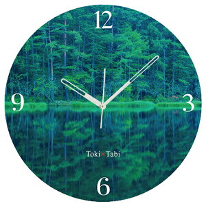 A+ (ANZgvX) Toki×Tabi V΂̌ˎr 60cm ^v bj 傫 v Ǌ|v { i i ۂ Â 쌧 s ʐE R zI _I s