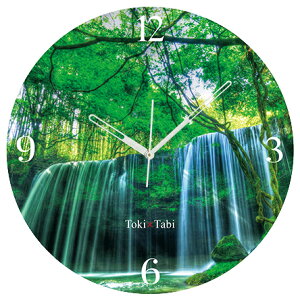 A+ (ANZgvX) Toki×Tabi P̒ 60cm ^v bj 傫 v Ǌ|v { i i ۂ Â F{ hs R X  _I zI s