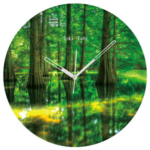 A+ (ANZgvX) Toki×Tabi I̐X 60cm ^v bj 傫 v Ǌ|v { i i ۂ Â  H k}XM r R _I zI s