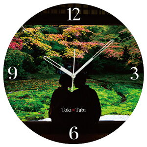 A+ (ANZgvX) Toki×Tabi gt̗ڗ@ -- 60cm ^v bj 傫 v Ǌ|v { i i ۂ Â s{ R H  s Jbv l