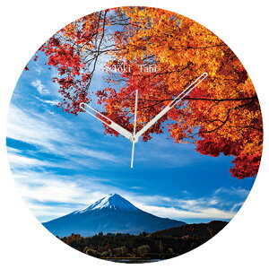 A+ (ANZgvX) Toki×Tabi gtƕxmR 60cm ^v bj 傫 v Ǌ|v { i i ۂ Â R ͌ ݂gl H  R s