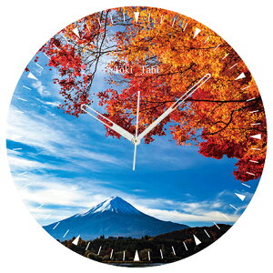 A+ (ANZgvX) Toki×Tabi gtƕxmR 60cm ^v bj 傫 v Ǌ|v { i i ۂ Â R ͌ ݂gl H  R s