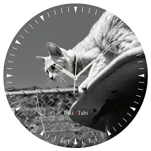 A+ (ANZgvX) Toki×Tabi ^|v 60cm L̓ |v lR L ˂ mN  ^v bj Ǌ|v  A[gpl 傫  CeA ʐ^ { r