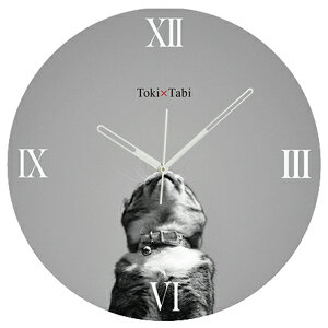 A+ (ANZgvX) Toki×Tabi ^|v 60cm L̓ |v lR L ˂ mN  ^v bj Ǌ|v  A[gpl 傫  CeA ʐ^ { r